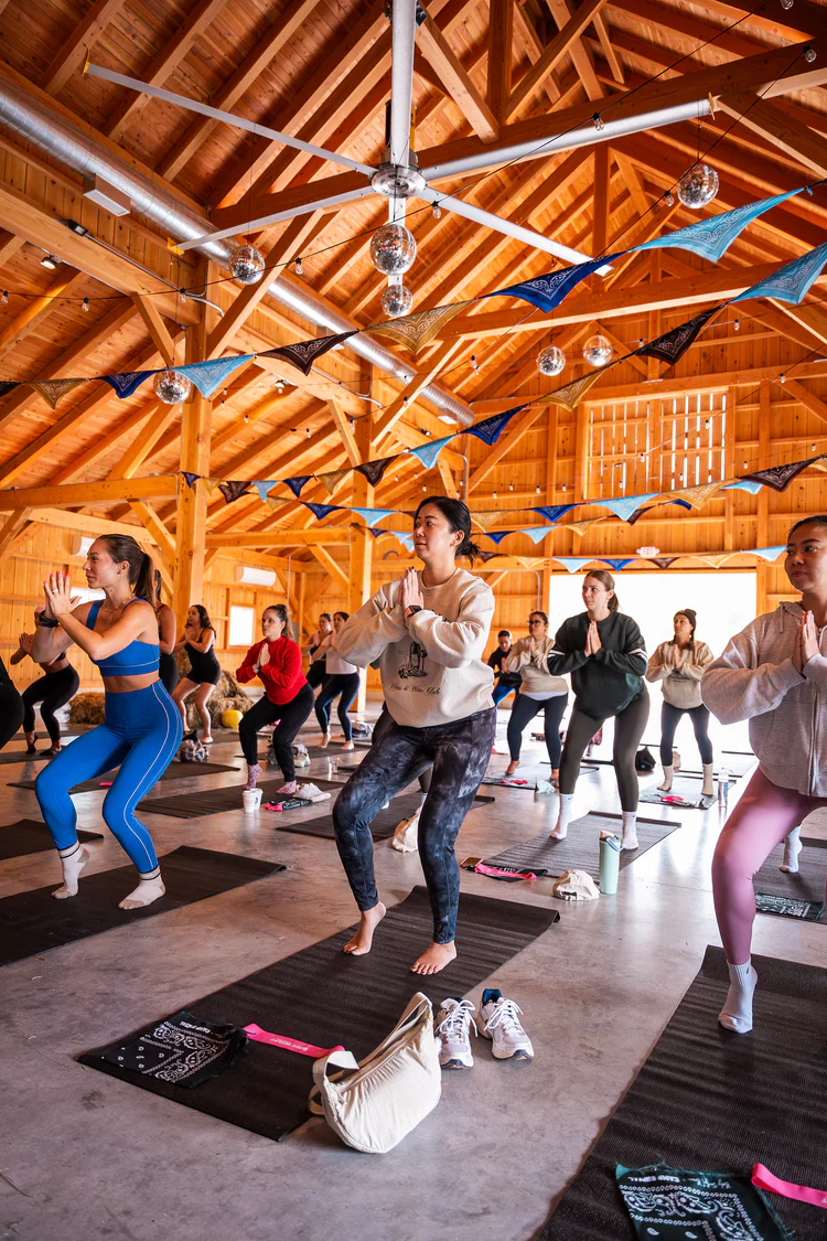 54825982209_6e39e22149_k