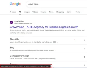 Google Search