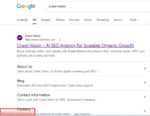 Google Search