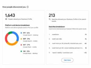 performance overview of Crawl Vision’s GBP