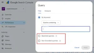 branded and non-branded query GSC