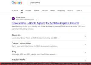 crawl-vision-google-serp